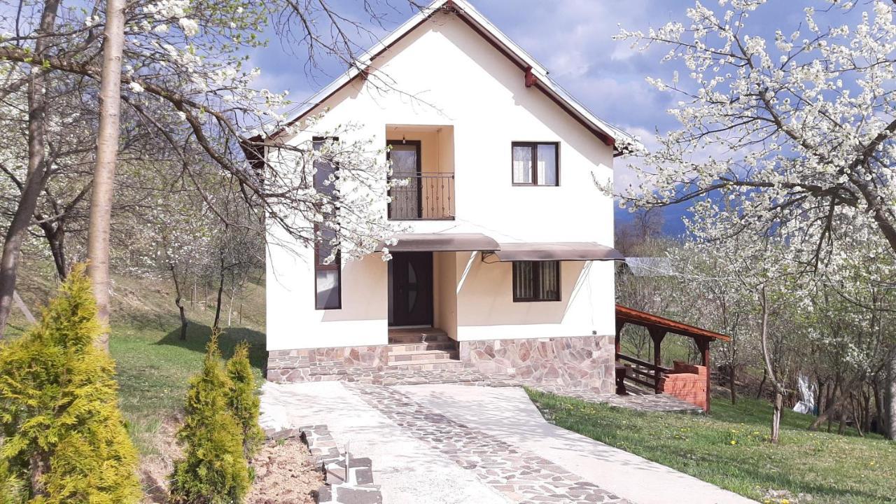 Villa Casa Flutar à Moisei Extérieur photo