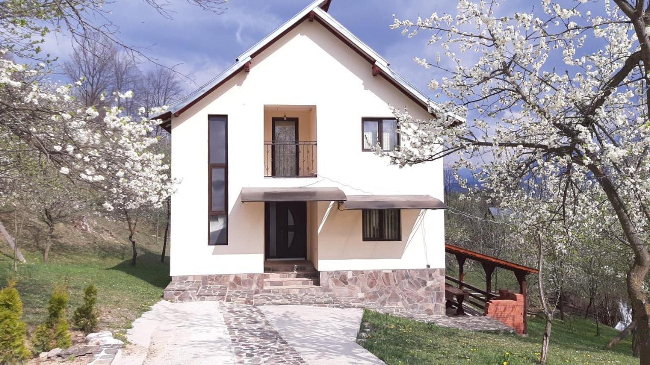 Villa Casa Flutar à Moisei Extérieur photo