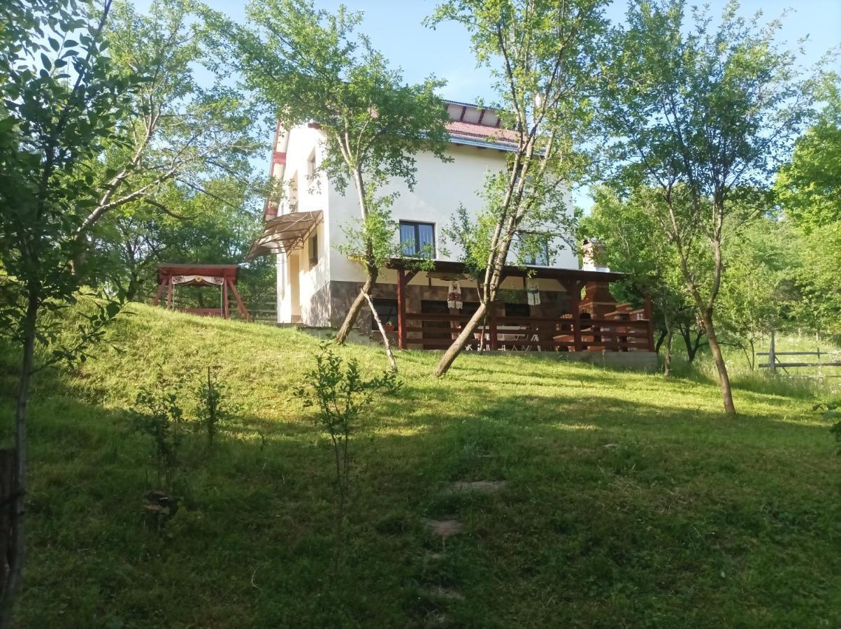 Villa Casa Flutar à Moisei Extérieur photo