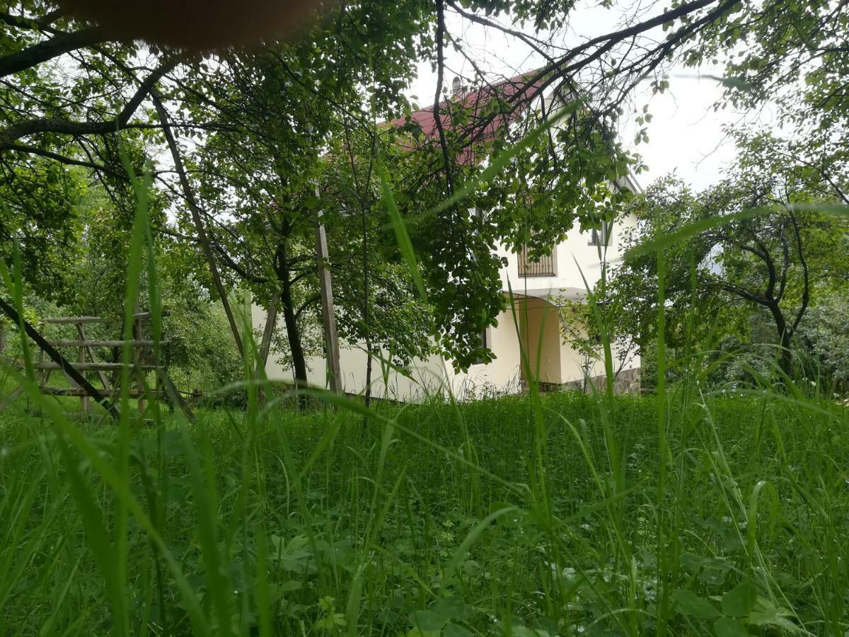 Villa Casa Flutar à Moisei Extérieur photo
